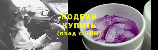 дмт Касимов