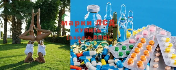 дмт Касимов