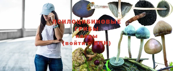 метадон Карталы