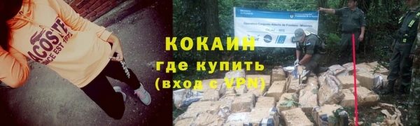 дмт Касимов