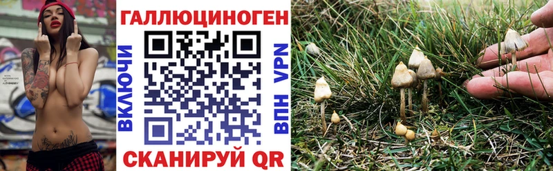 Псилоцибиновые грибы мицелий  Купить закладки  Белокуриха 